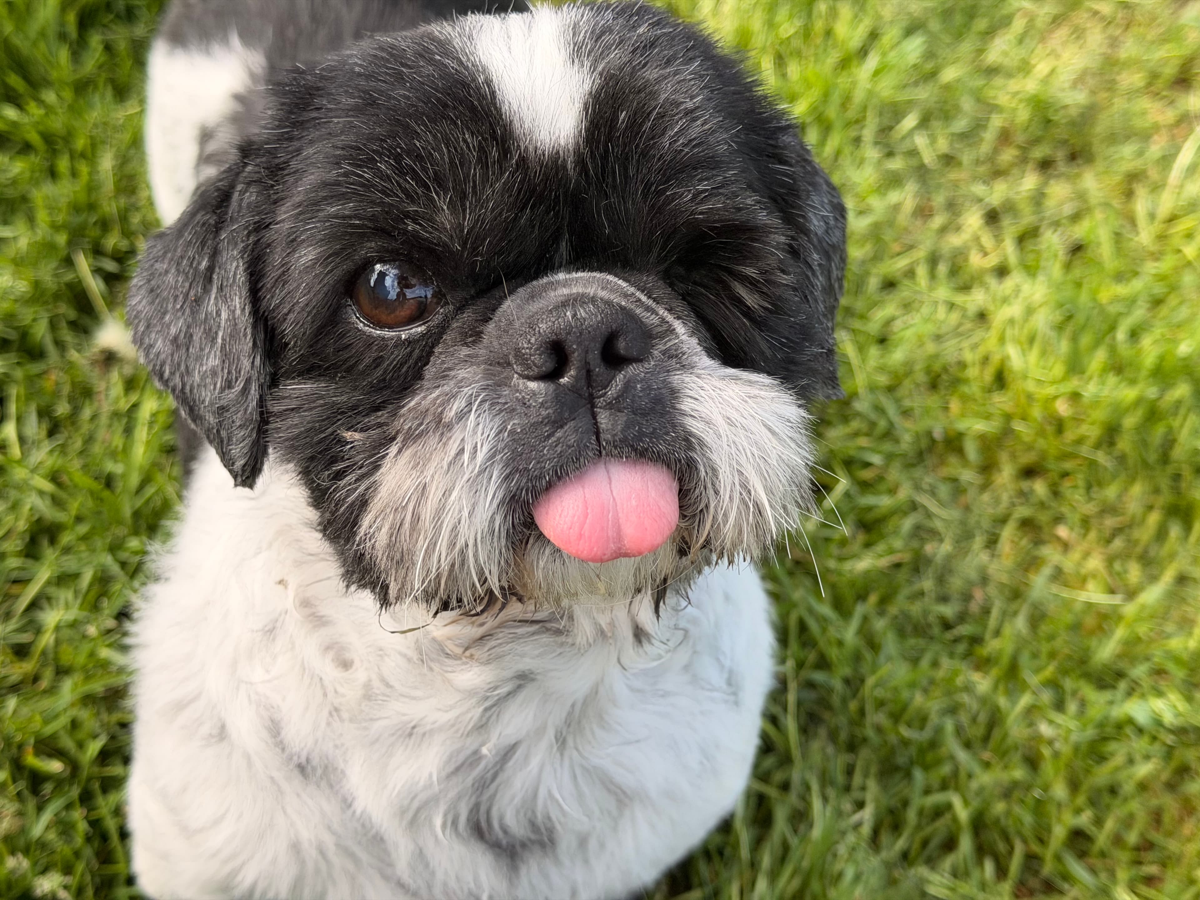 Ben